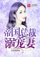 帝国总裁宠妻入骨沈霁免费阅读