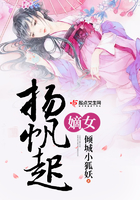 毒妃穿越:丑女涅盘惊天下免费阅读