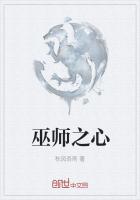巫师之心 小说