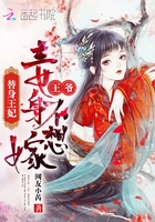 替身王妃：王爷，妾身不想嫁